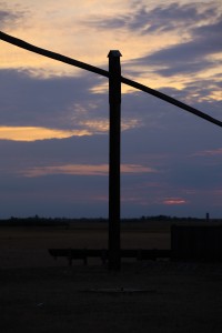 _MG_9571